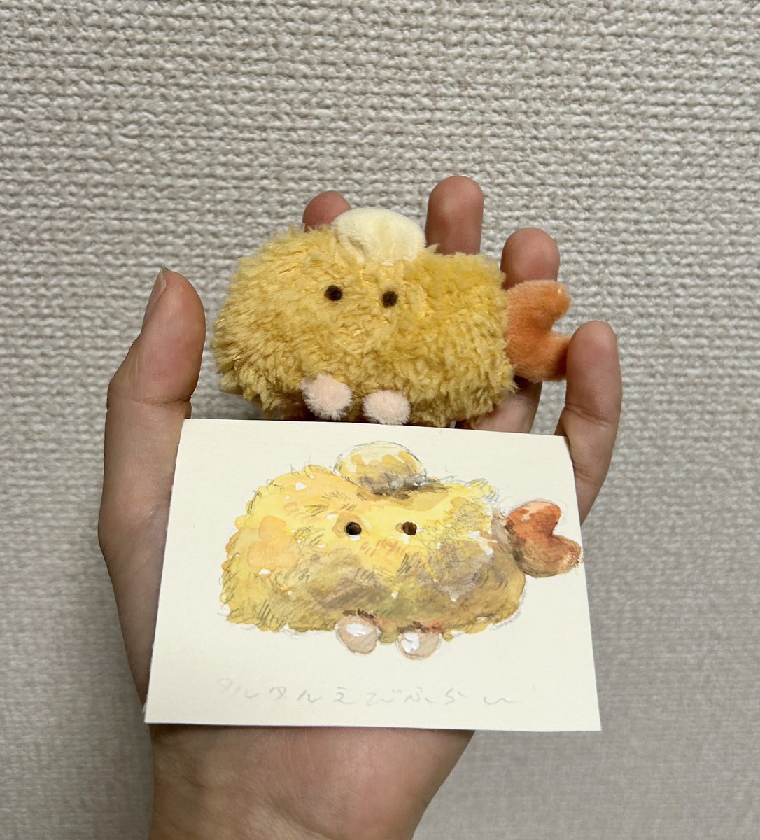 いか豆 tweet media