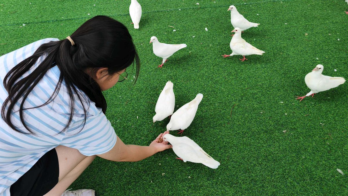 金融AguaI tweet media