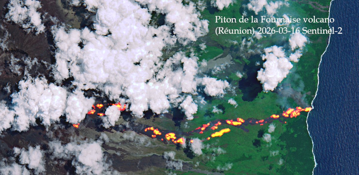 Martin Kelko tweet media