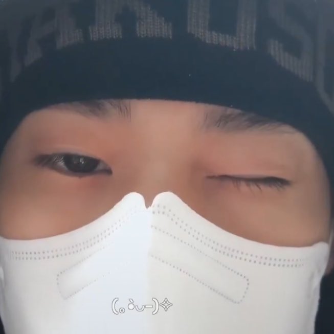 이소희 강아지 tweet media