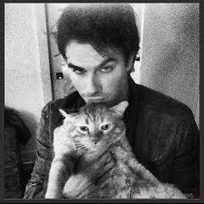 ♱. 𝓓𝑨𝑴𝑶𝑵 𝓢𝑨𝑳𝑽𝑨𝑻𝑶𝑹𝑬 ˀ 𓉸 tweet media