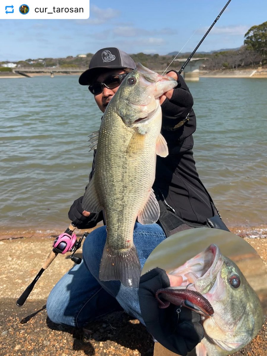 ZAPPUオフィシャル tweet media