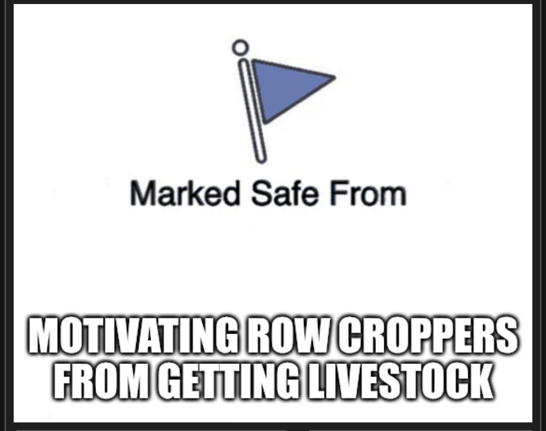 Ryan Heiniger tweet media