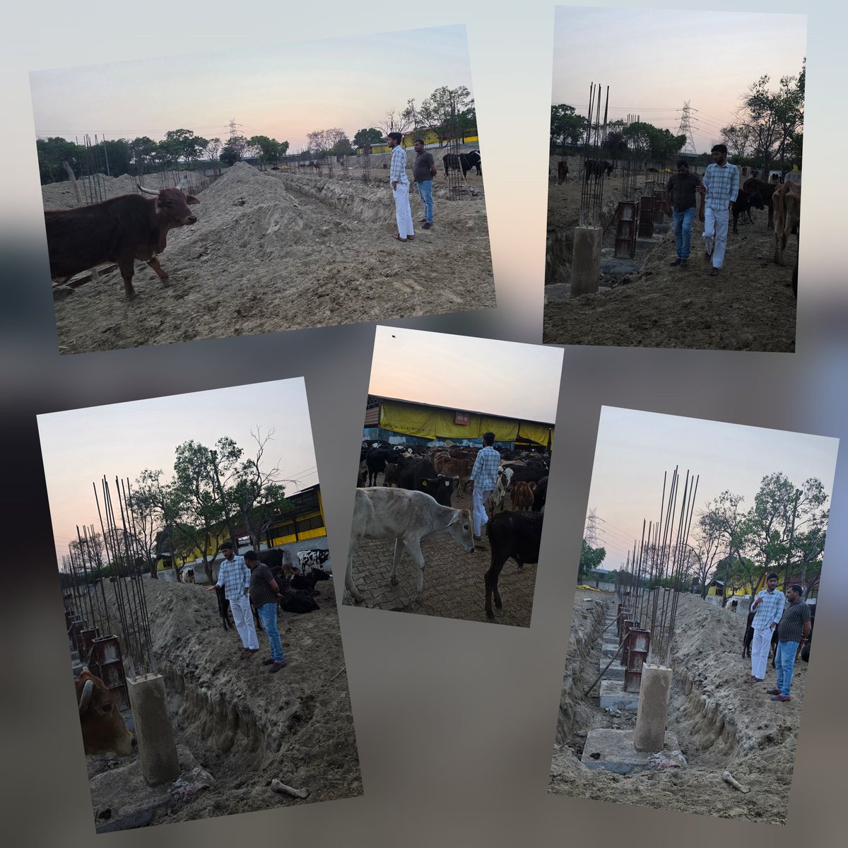 विशाल भारद्वाज, विश्वकर्मा | गौपुत्र बजरंगी गा०बाद tweet media