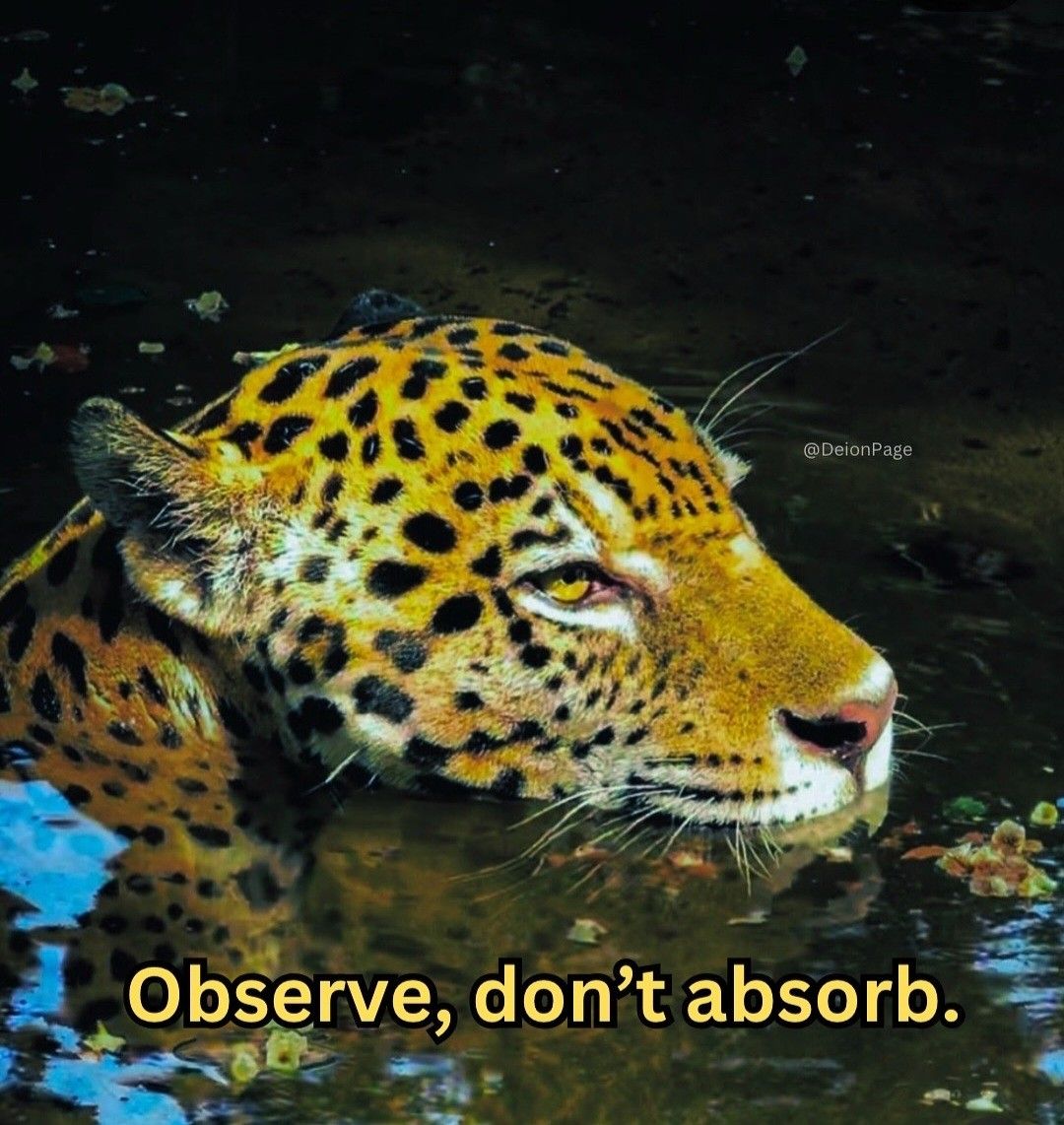 Achilles tweet media