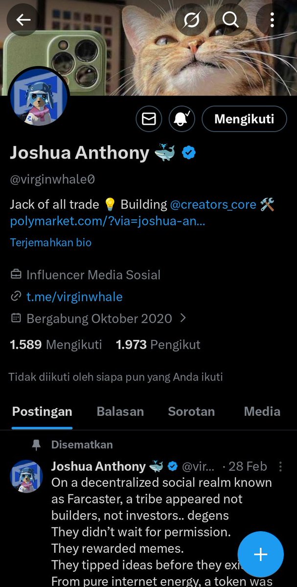 momonaja_ tweet media