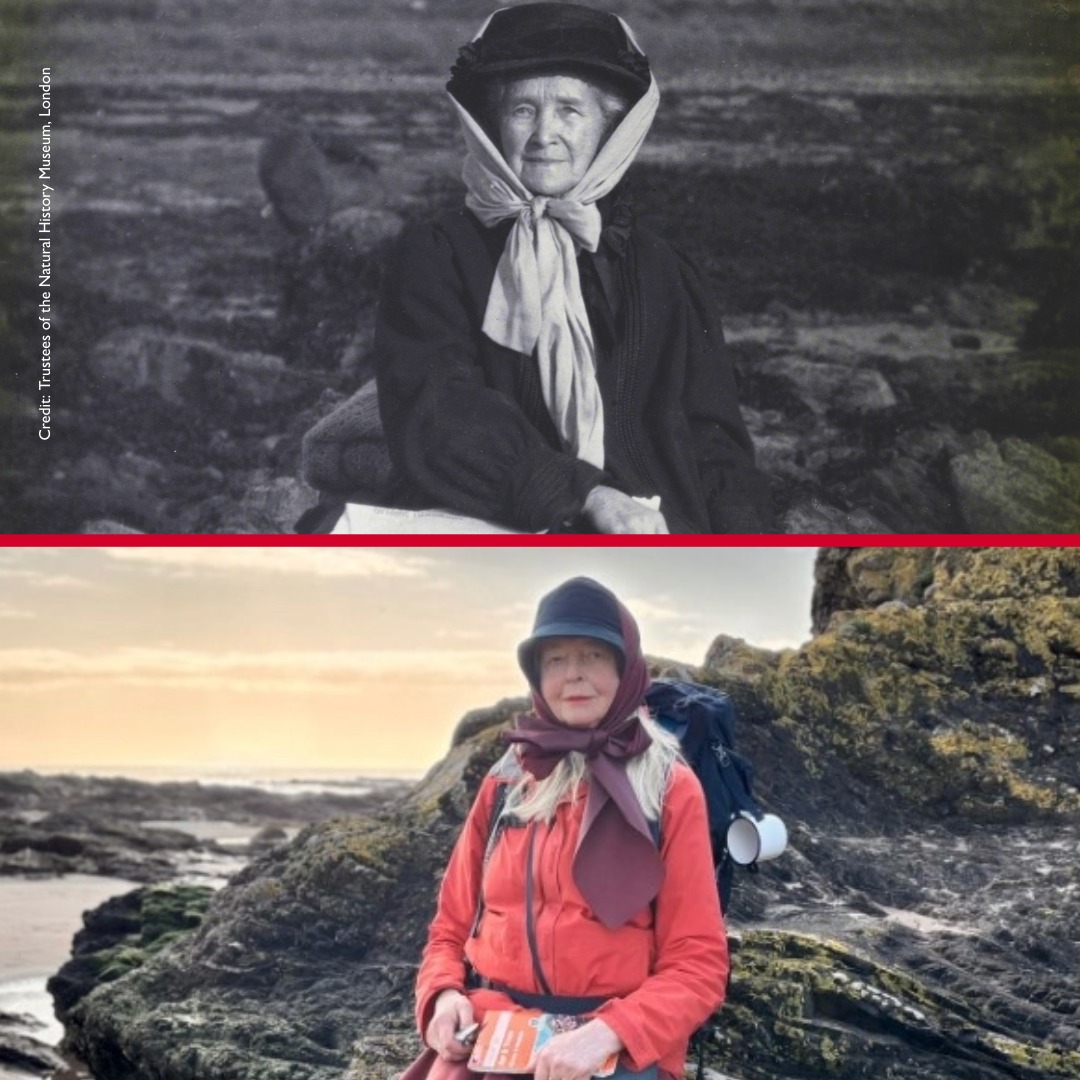 South Ayrshire Museums & Galleries tweet media