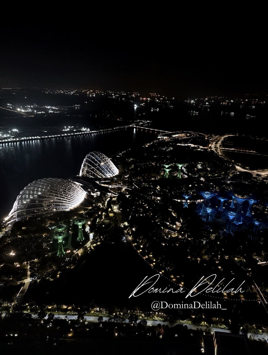 Domina Delilah | Singapore Professional Dominatrix tweet media