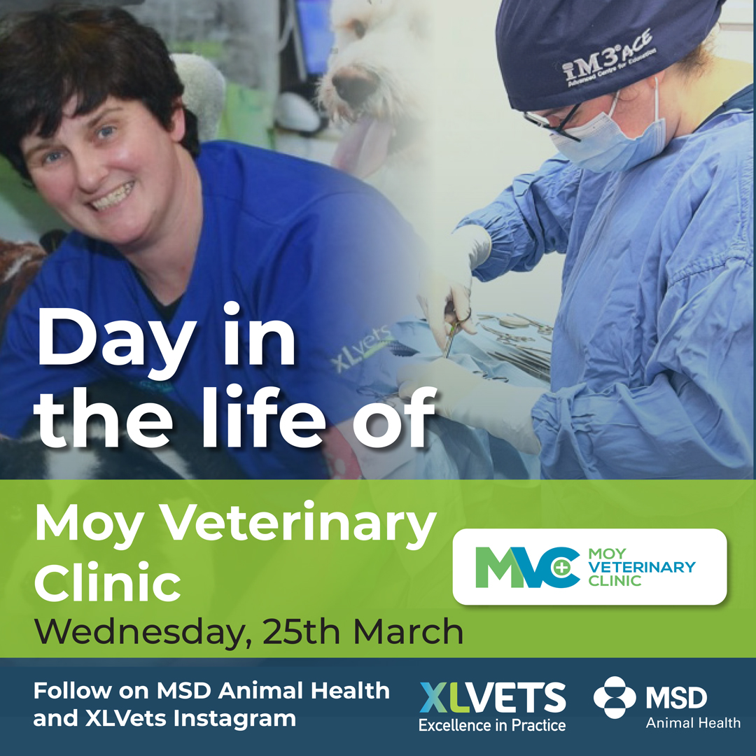 MSD Animal Health - Livestock tweet media