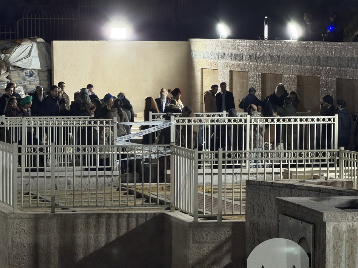 יהודה ולד tweet media