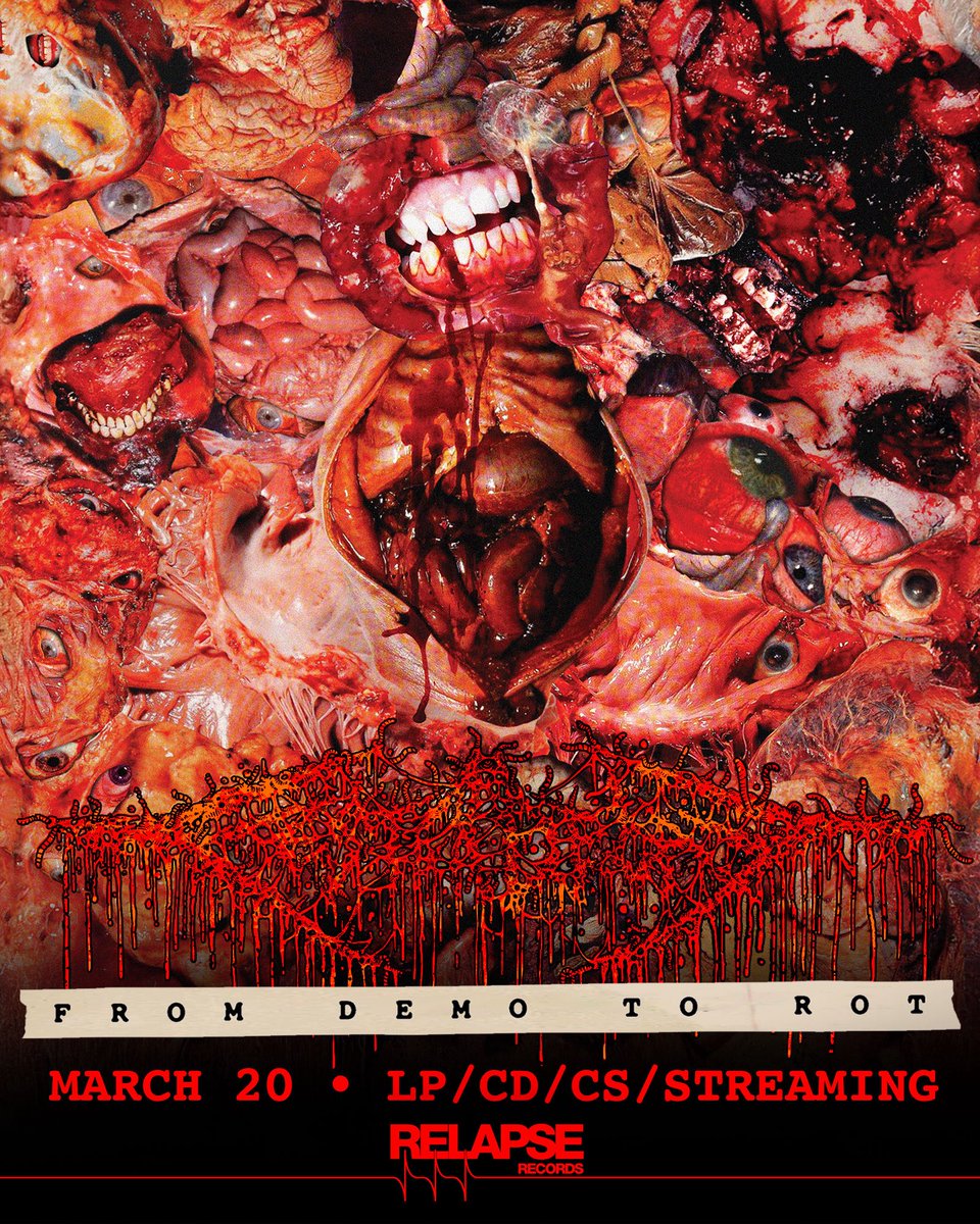 FesterDecay tweet media