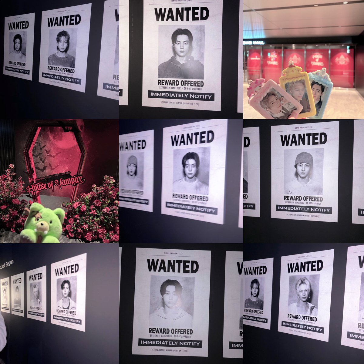 𝒯ℴ- ̗̀🪽 ̖́‐ tweet media