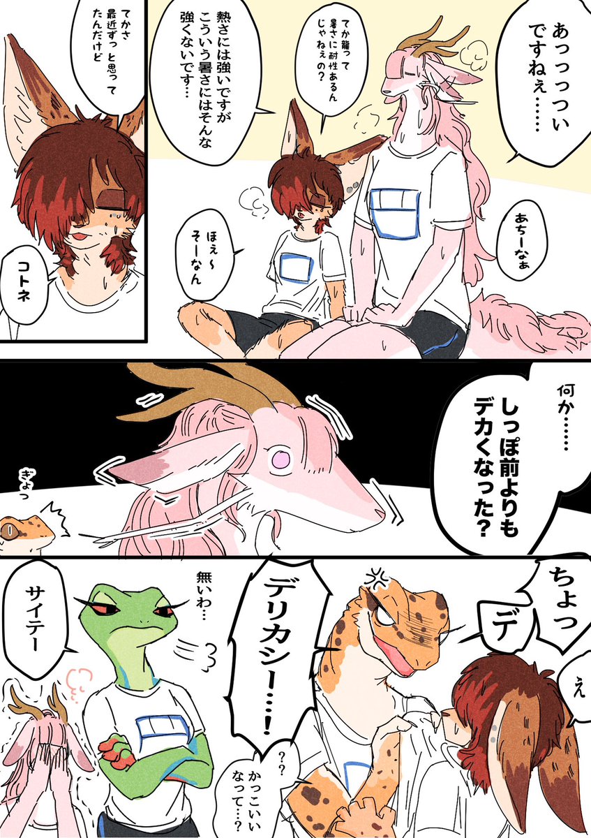 たぶん幸せ太り🐱🐉 