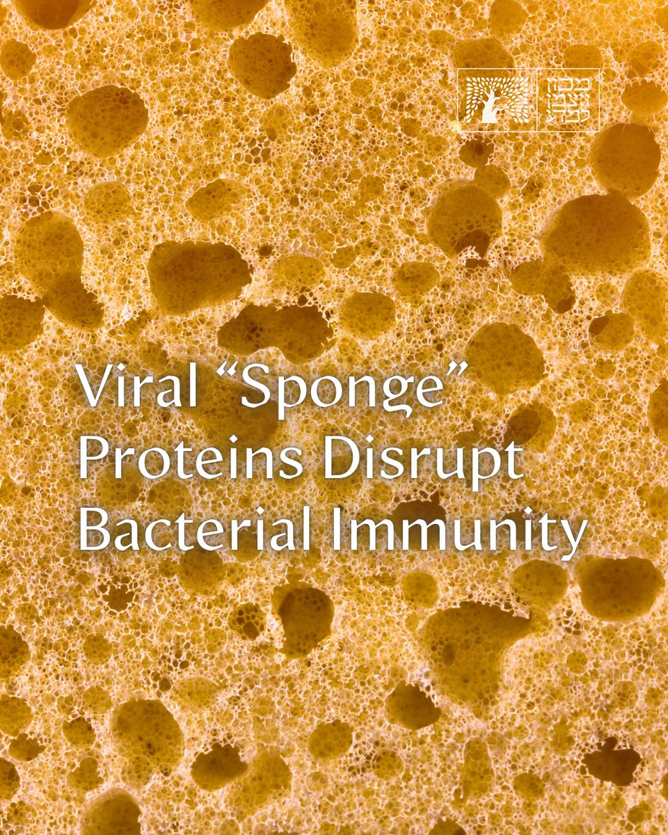 Weizmann Institute tweet media