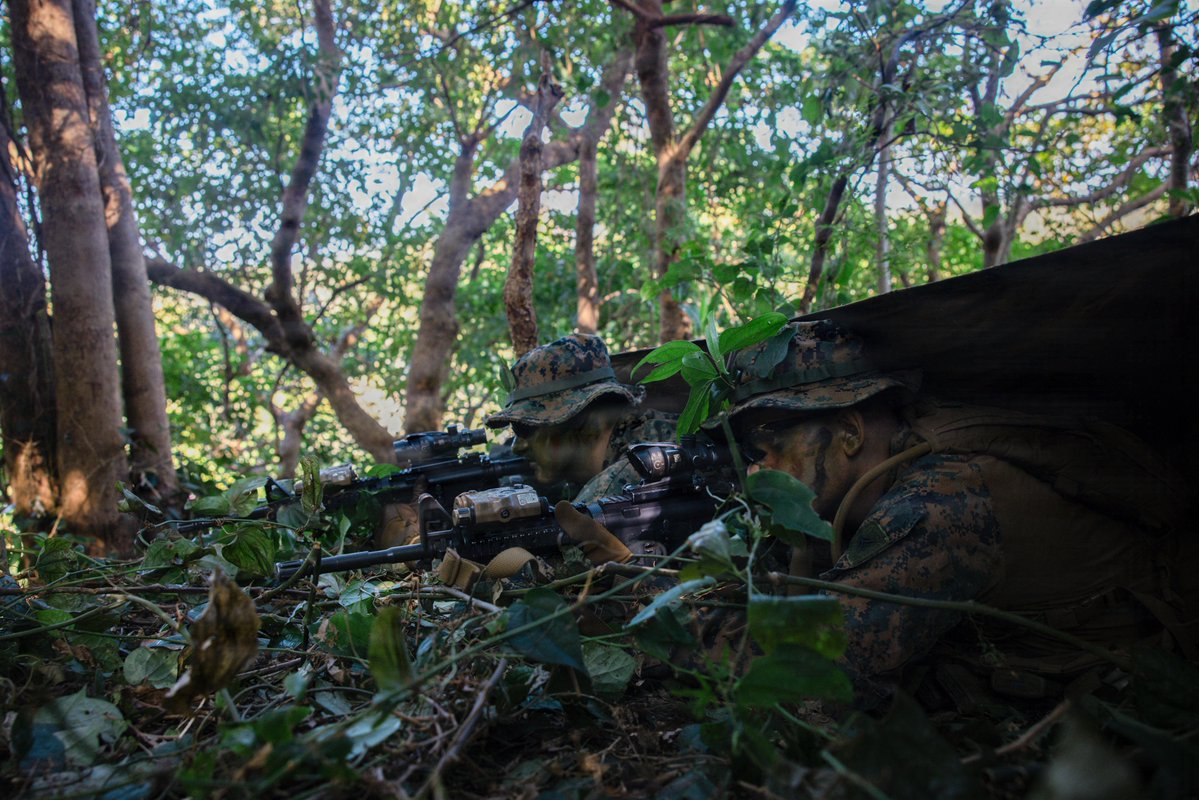 III MEF Marines tweet media