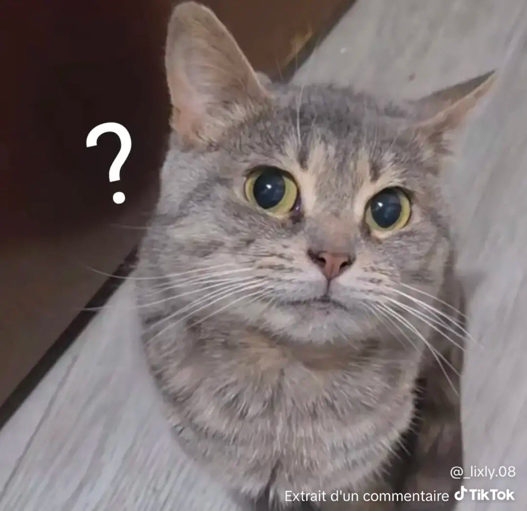 Vause 🇫🇷 tweet media