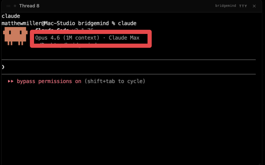 Opus 4.6 1M context UI