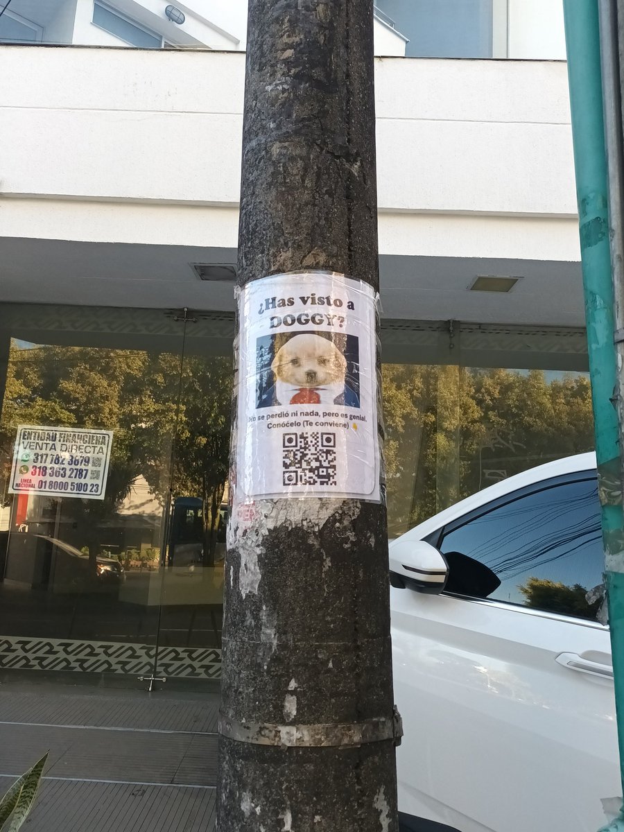 $DOGGY Doggy es inevitable llega a Colombia manizales caldas Has visto a $DOGGY
📍Av Santander #53a-2 a 53a-62📍