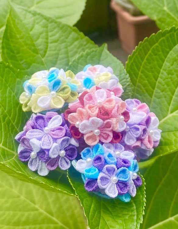 極上の旅図鑑 tweet media