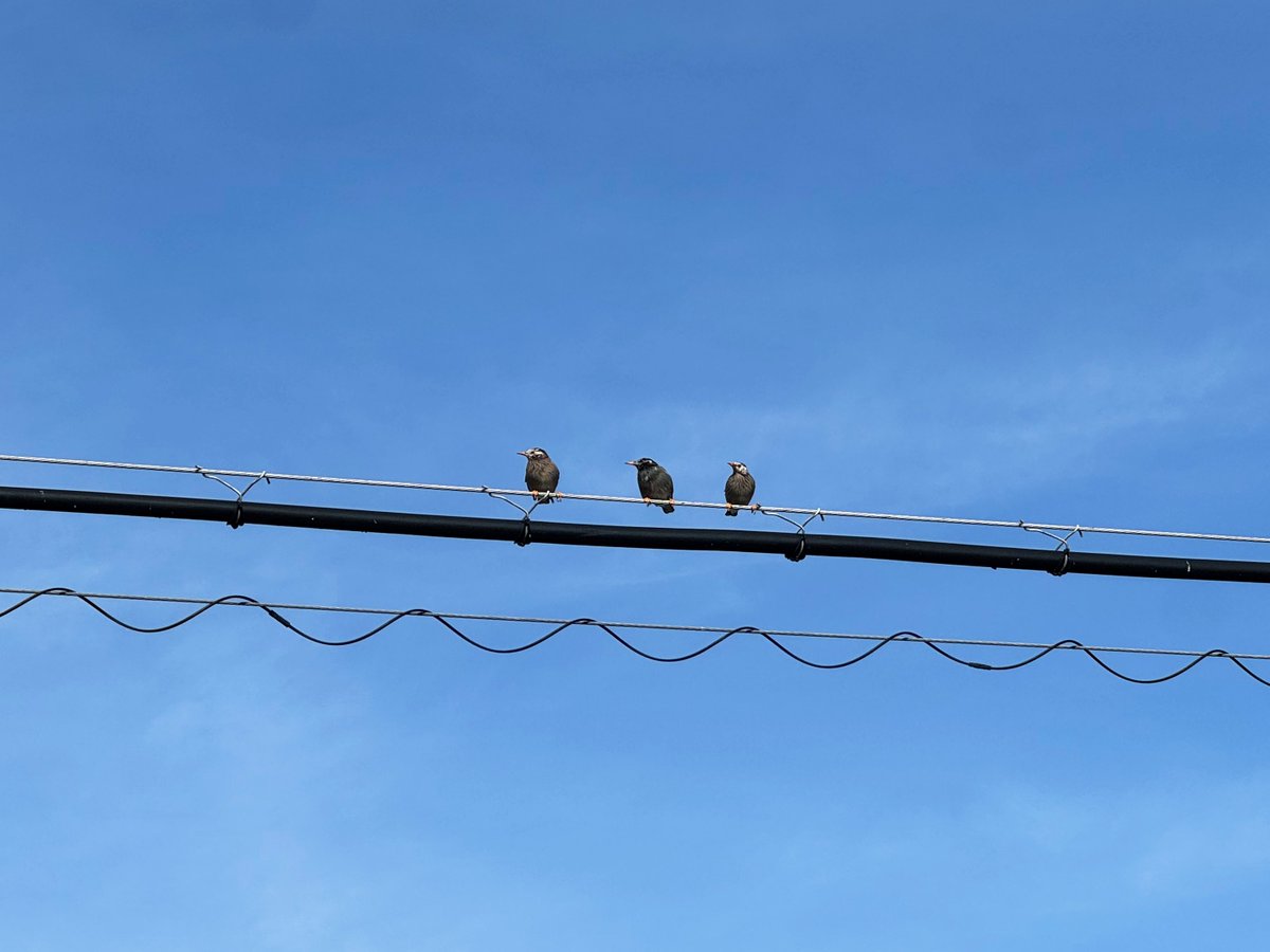 MANABU@AfterEffects tweet media