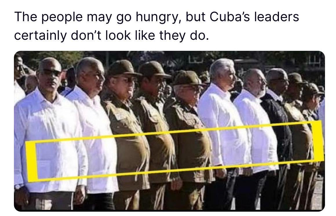 David Webb tweet media