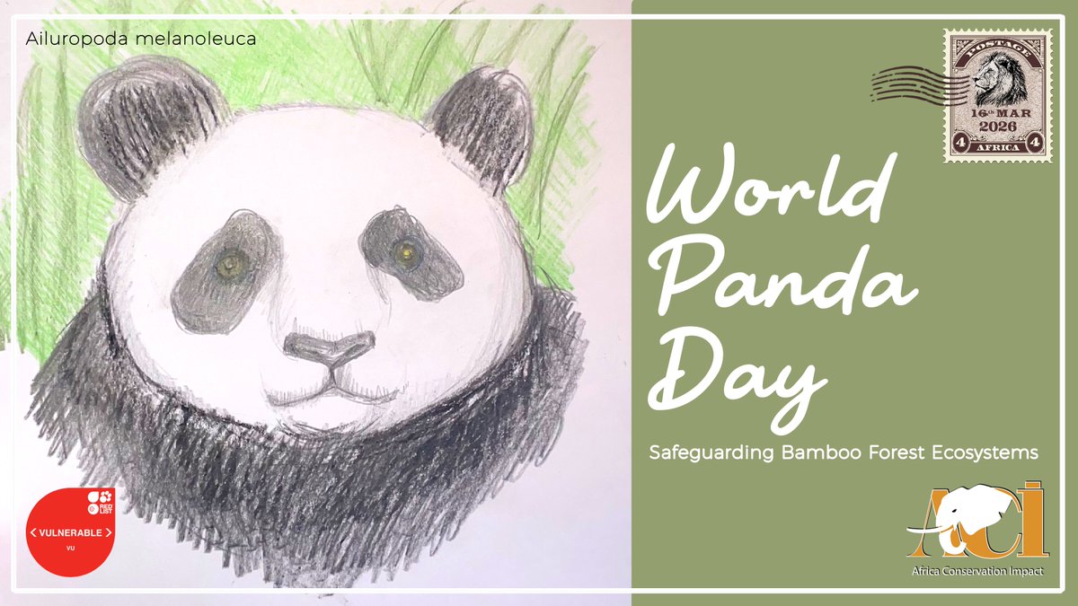 Africa Conservation Impact tweet media