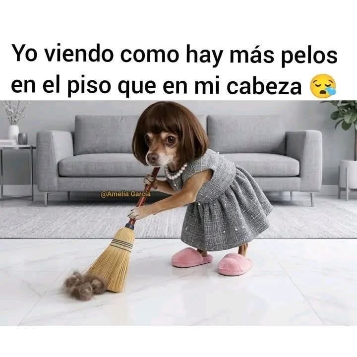 Papita Criolla ☻ (@evelyncarmona) on Twitter photo 