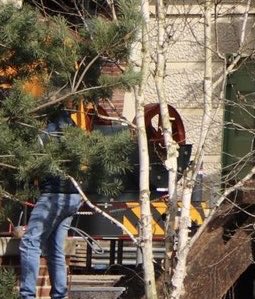 Wonderwijzer tweet media