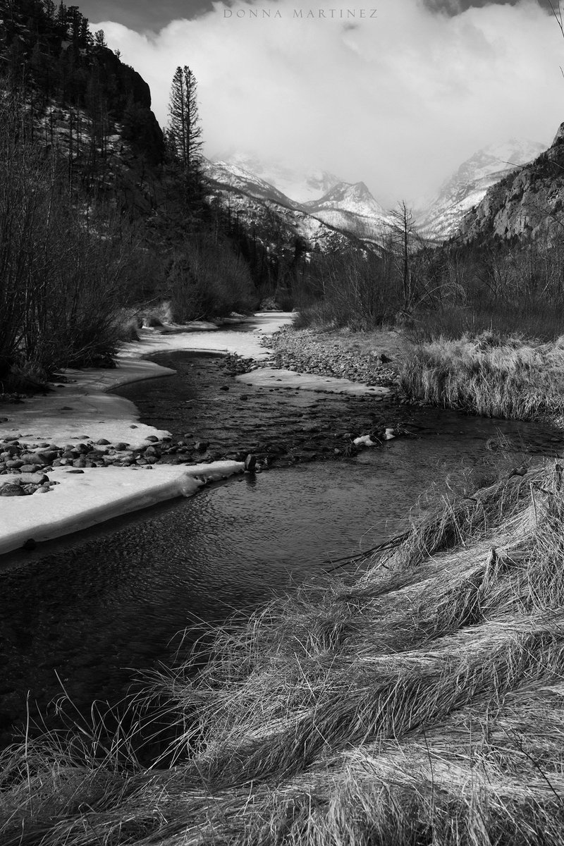 Finding Donna 🖤🤍📷 tweet media