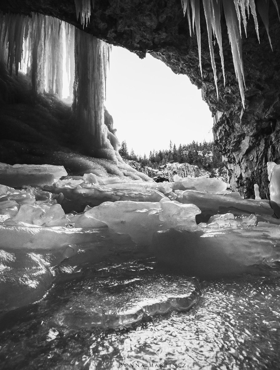 Finding Donna 🖤🤍📷 tweet media