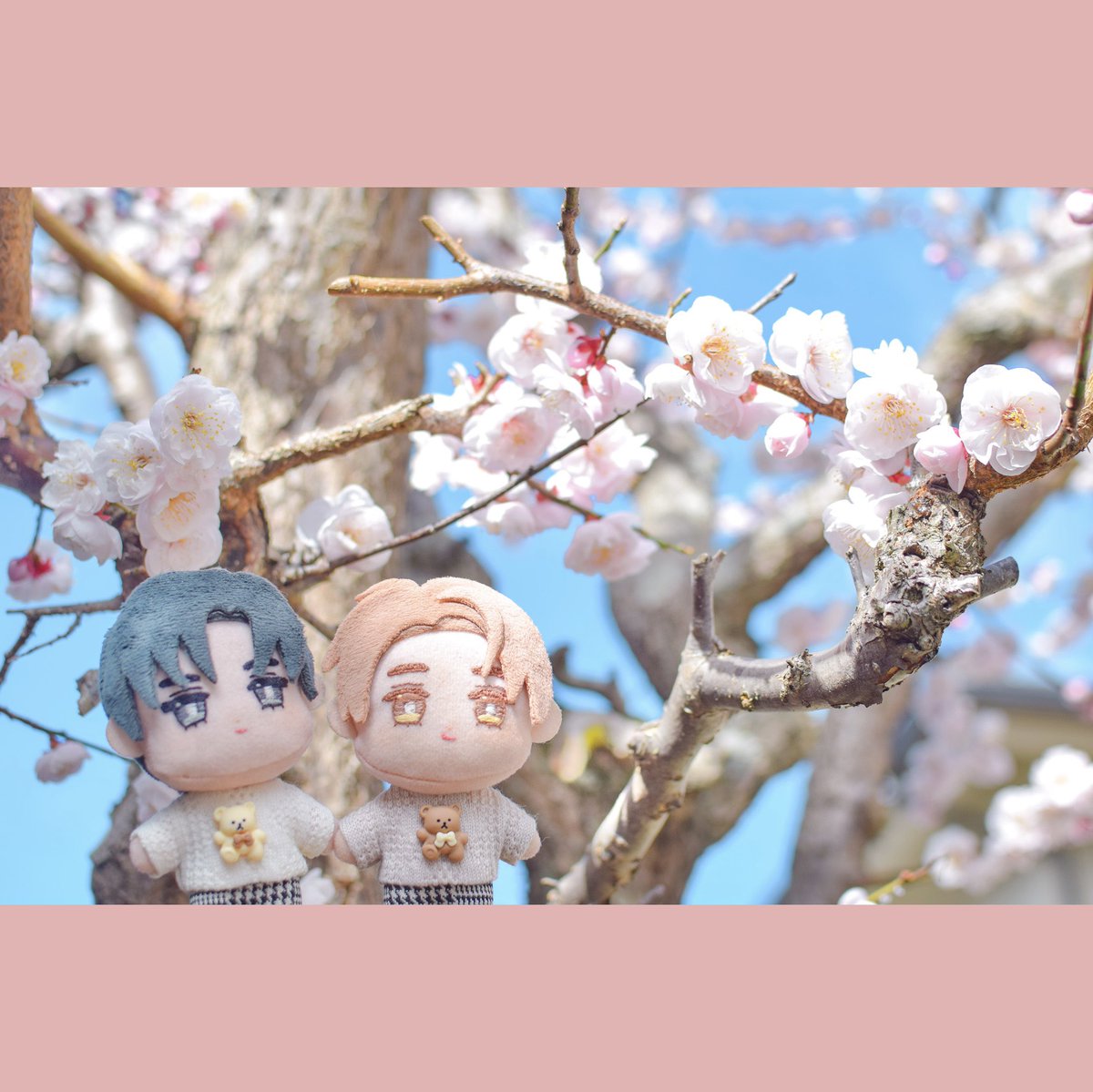 涼拓ぬい 今年も庭の梅が咲いたよ