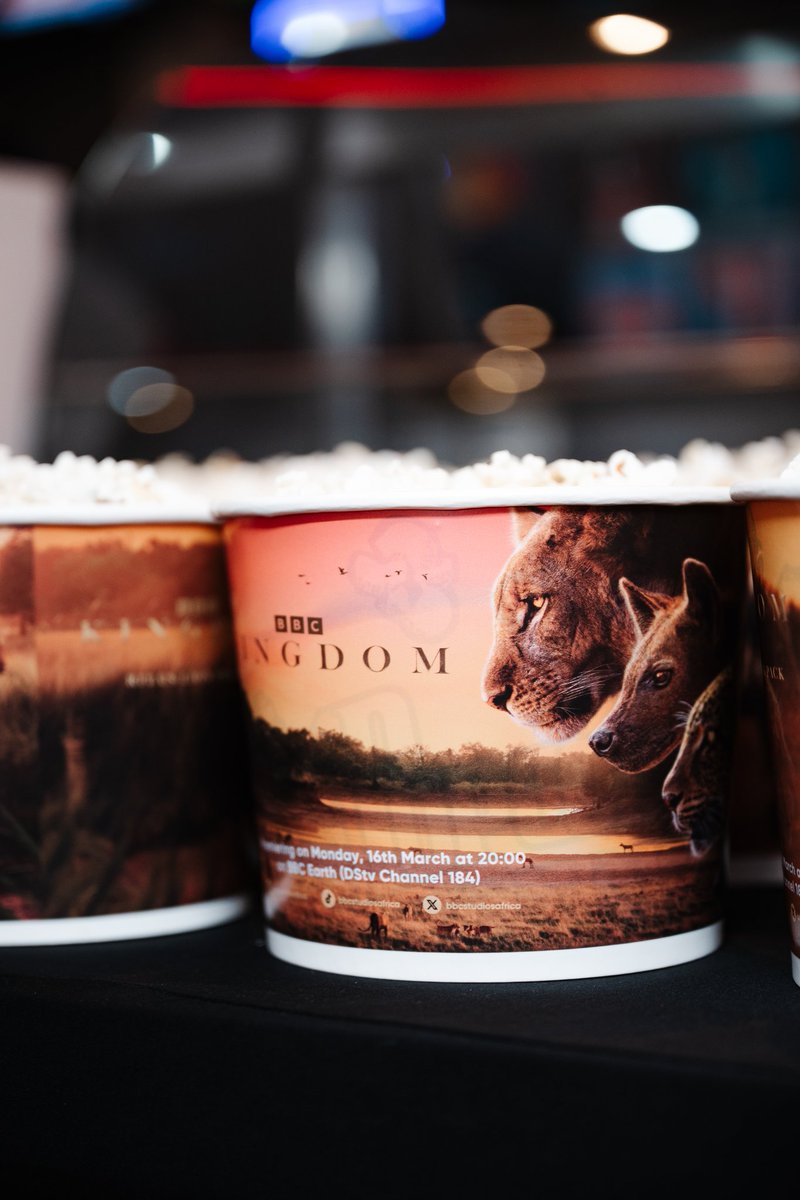 CATHERINE CONSTANTINIDES tweet media