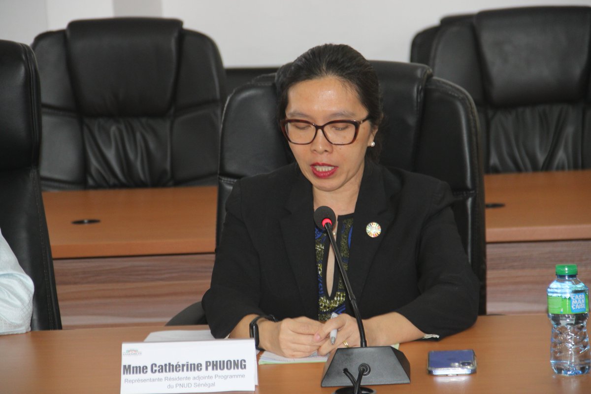 PNUD Sénégal tweet media