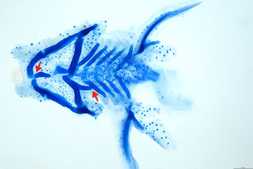 DMM Journal tweet media