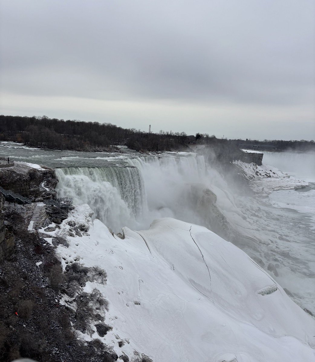 David Morissette tweet media