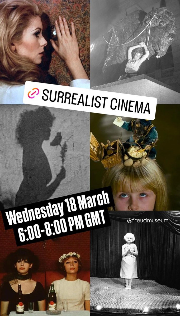 Mary Wild tweet media