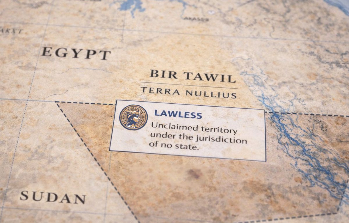 BirTawil tweet media