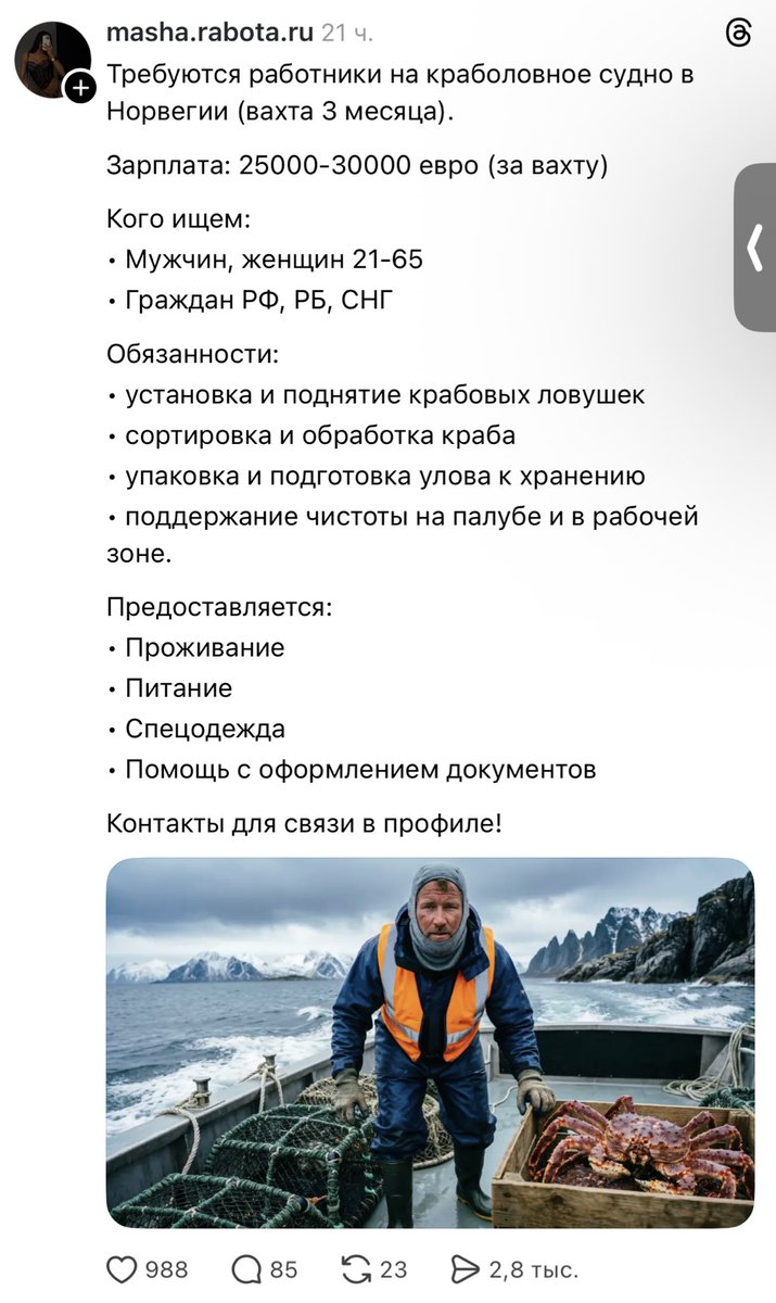 Диана Капи tweet media