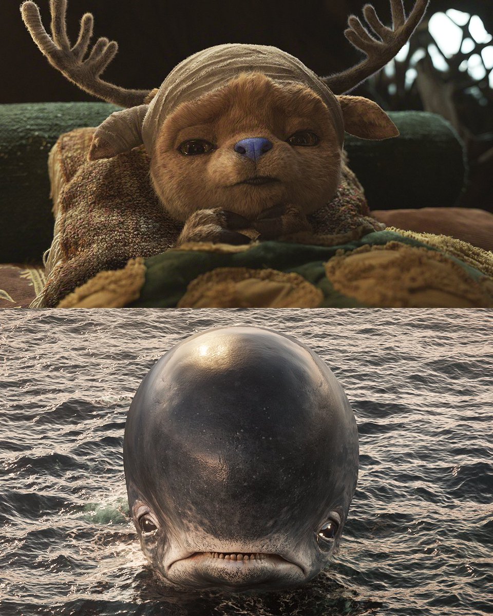 Admite. Choraste com o Chopper e o Laboon.