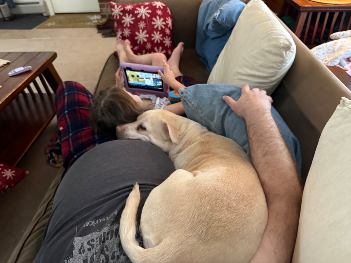 Adam McLain tweet media