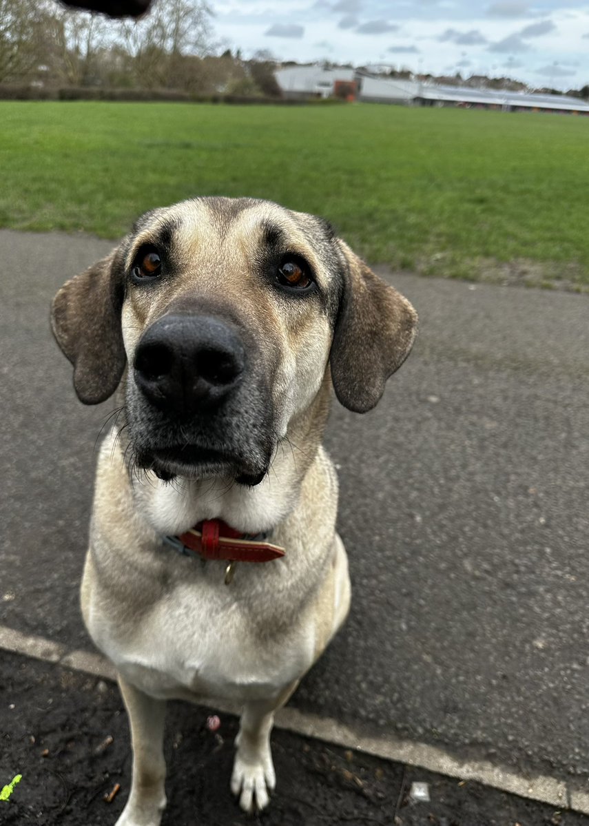 Maria Ramos tweet media