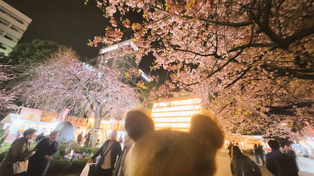 タロ（TRJP） tweet media