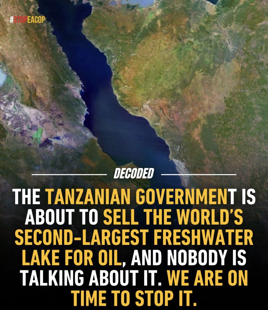 Typical African tweet media