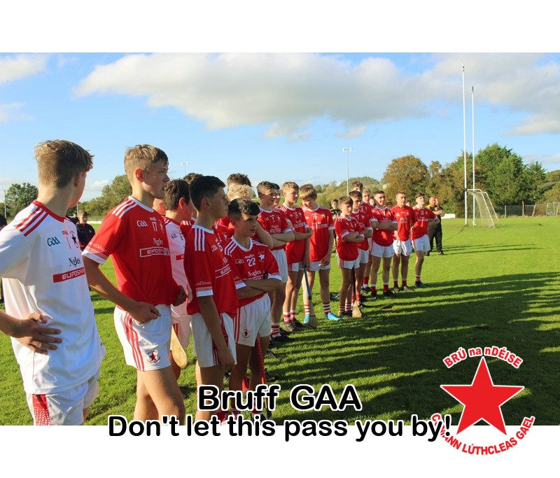 Bruff GAA tweet media