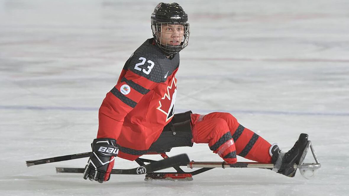 Senator David Wells tweet media