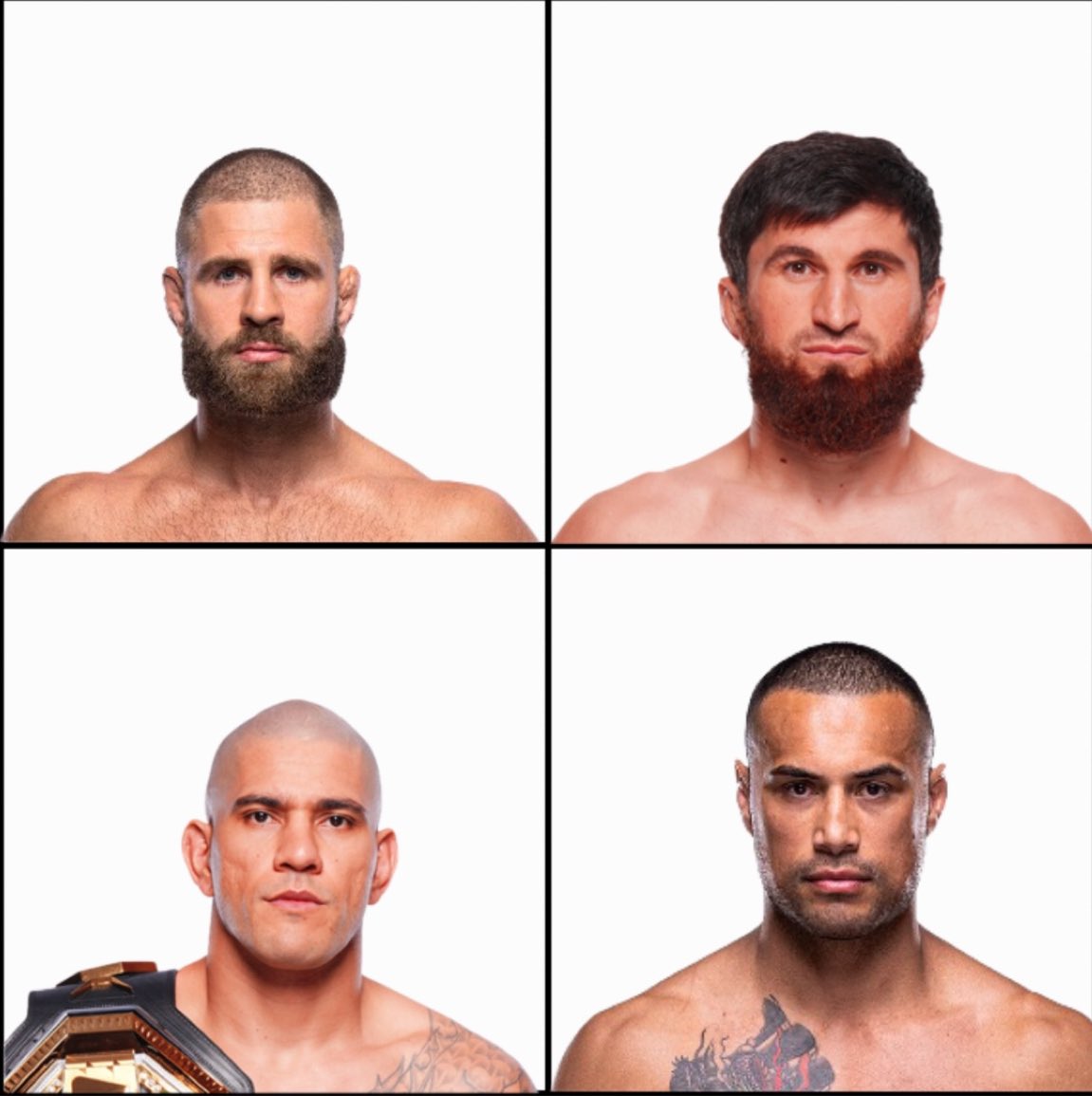 Blind Bear 🐻🕶️ tweet media