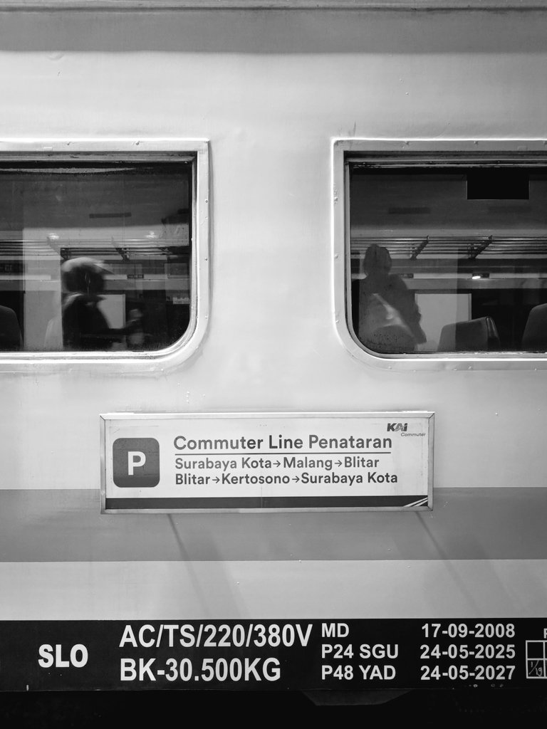 dppa plur tweet media