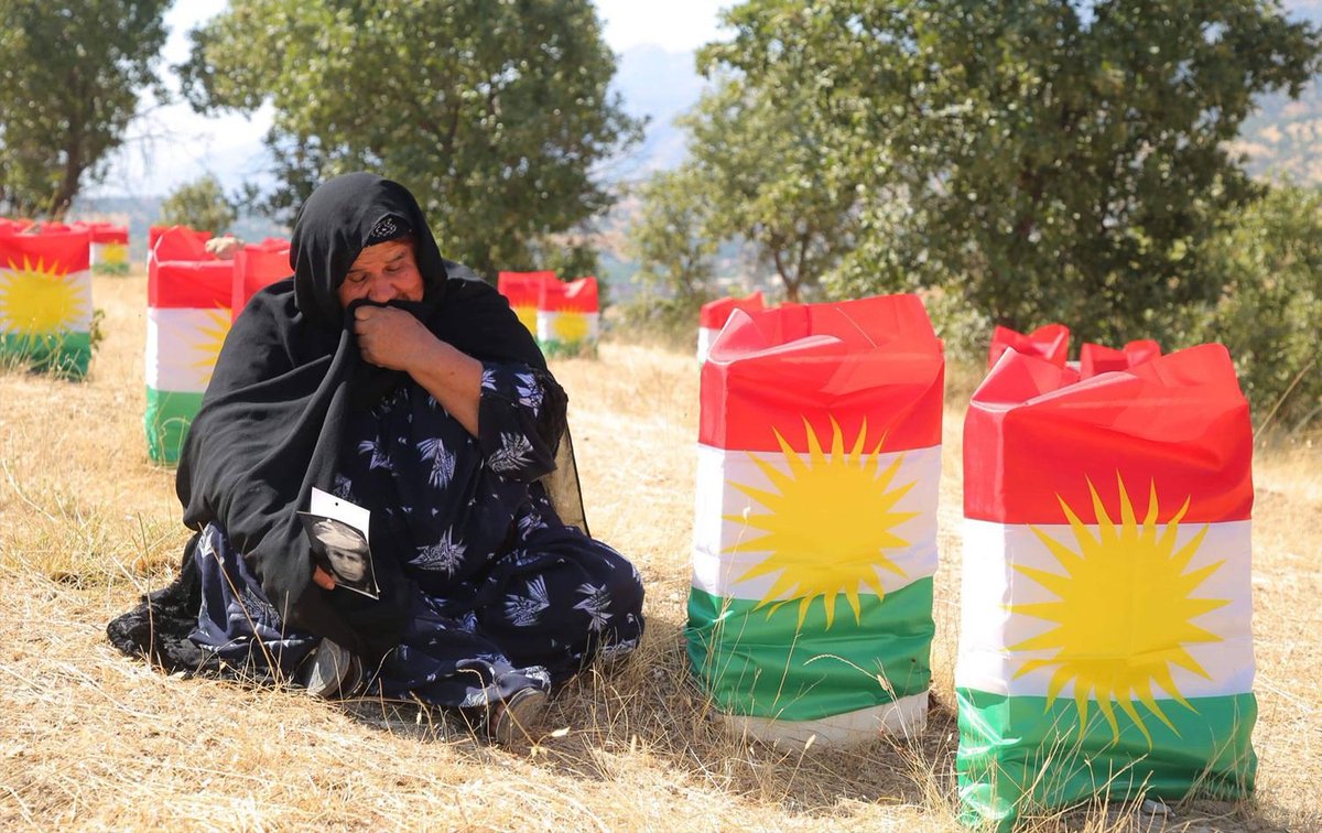 Armanca Me tweet media