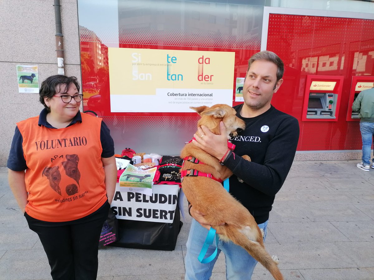 Ayto. de Ponferrada tweet media