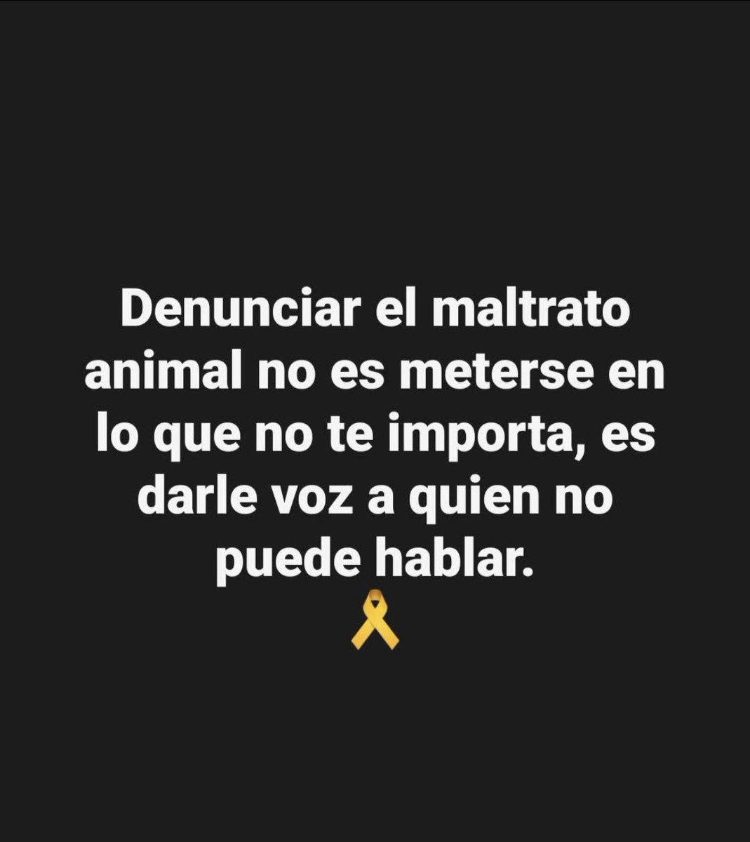 Es muy importante este mensaje #sv16M